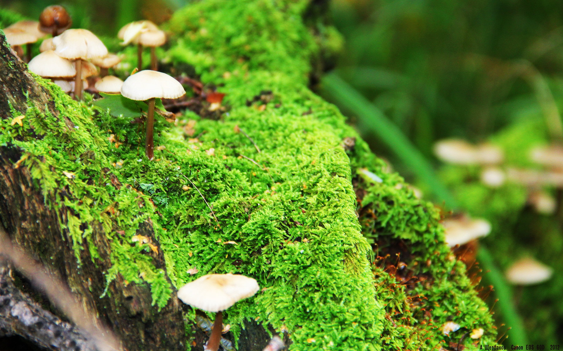 米兰体育官方入口-主教练是否应掌控更多球，主教练能不能上场踢球