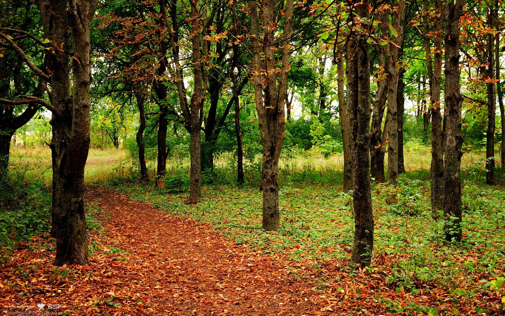 广州富力将挑战山东泰山,谁将在比赛中力压对手?,广州富力山东公司