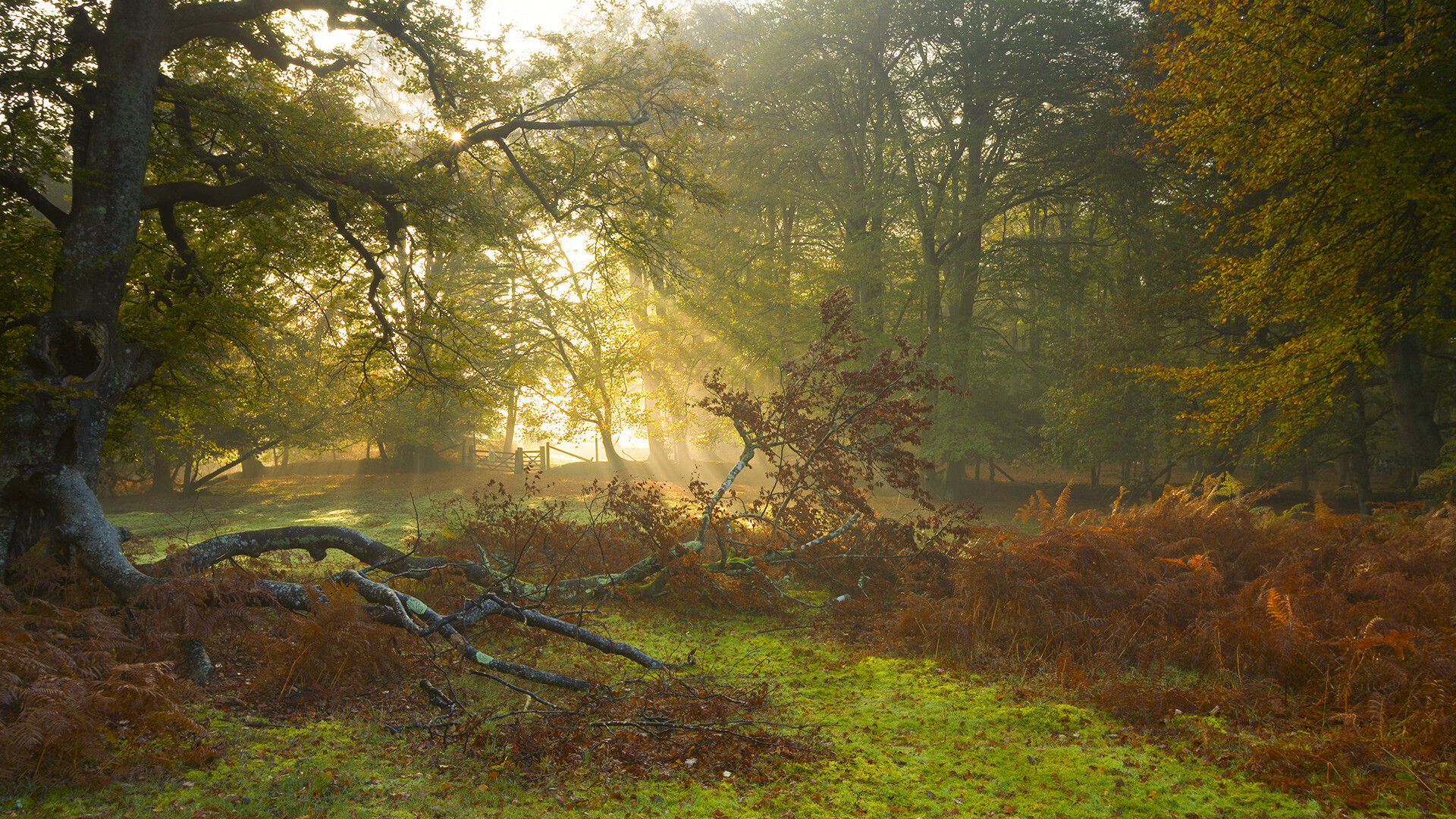 青岛男篮球队新阵容逐渐成型，山东青岛男篮球队队员名单