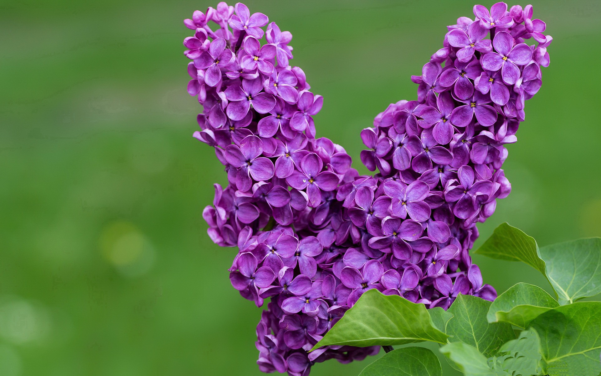 中国米兰体育-体育产业资本运作新模式探索，体育产业资本的概念