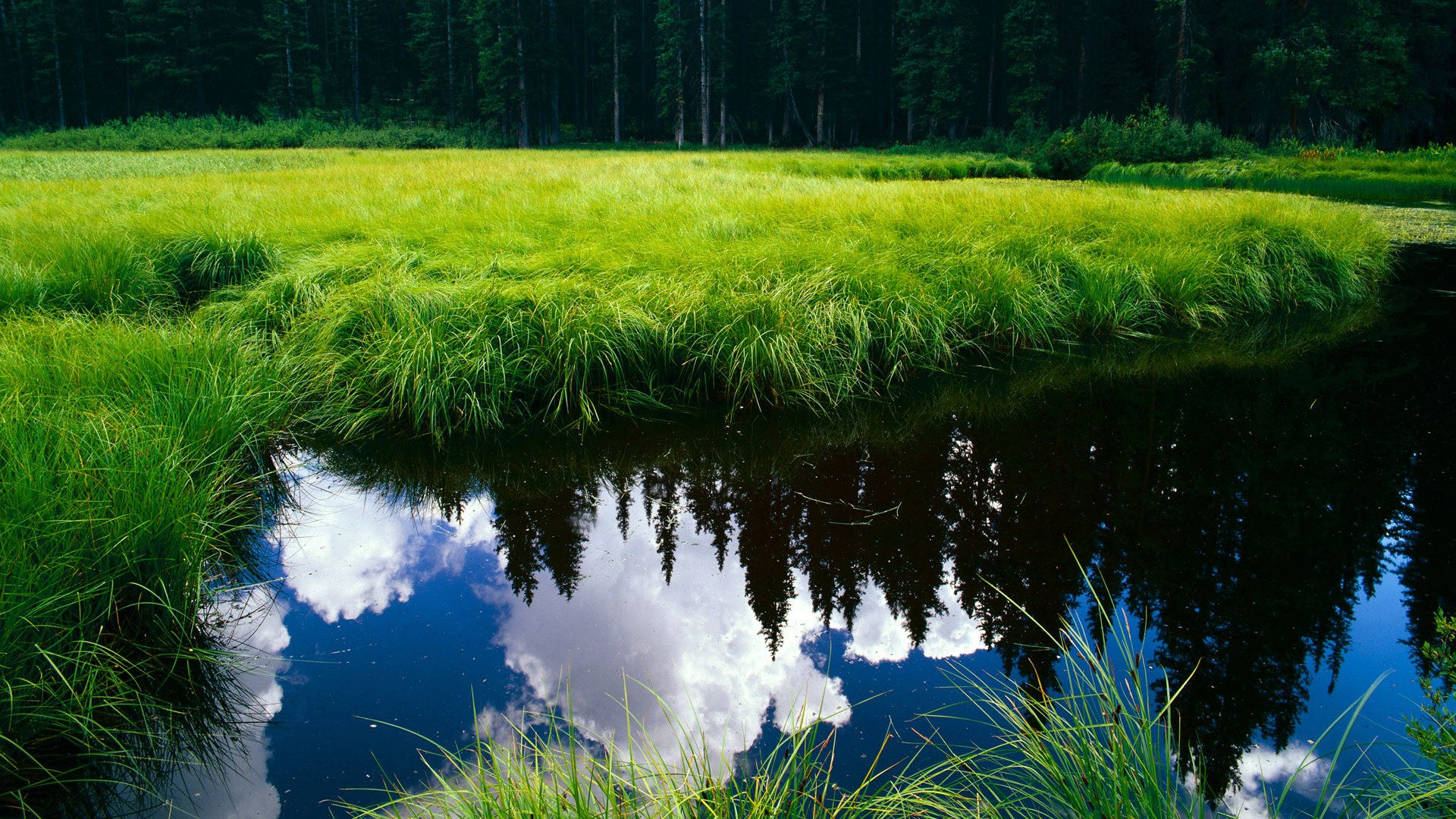 职业球员心理健康档案建立实现长期追踪与干预，球员心态