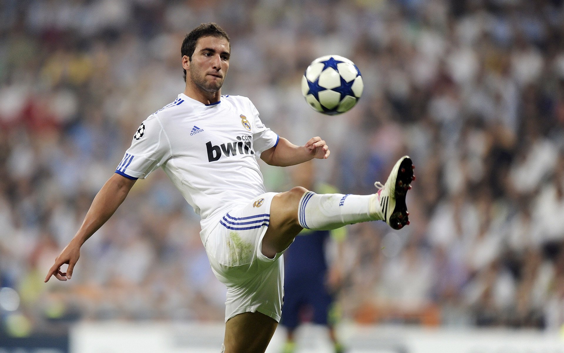 揭秘冠军教头：战术背后的秘密武器，冠军教练百度百科